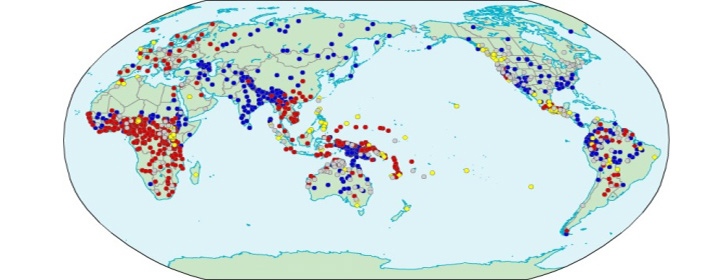 Karta över ordföljdstyper i världens språk. Data från World Atlas of Language Structures.
